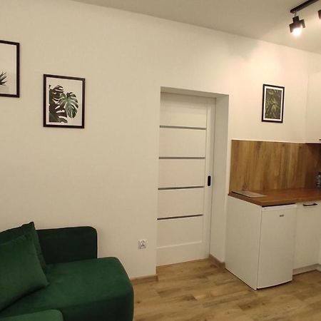 Apartamenty Agpa7 Zator Extérieur photo